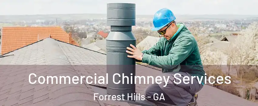 Commercial Chimney Services Forrest Hills - GA