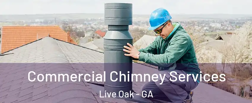 Commercial Chimney Services Live Oak - GA