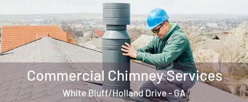 Commercial Chimney Services White Bluff/Holland Drive - GA