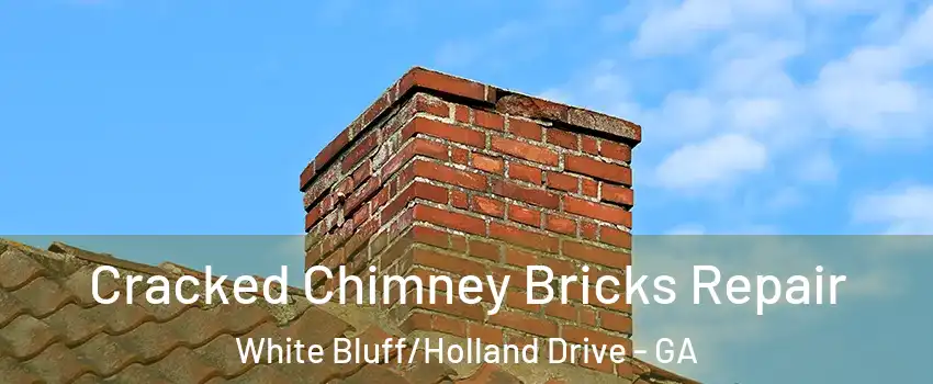Cracked Chimney Bricks Repair White Bluff/Holland Drive - GA