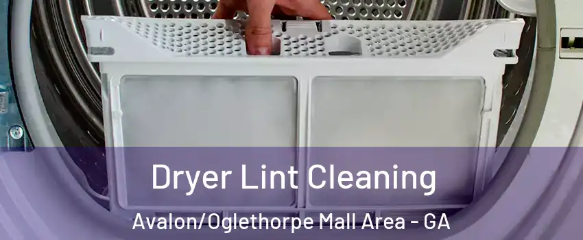 Dryer Lint Cleaning Avalon/Oglethorpe Mall Area - GA