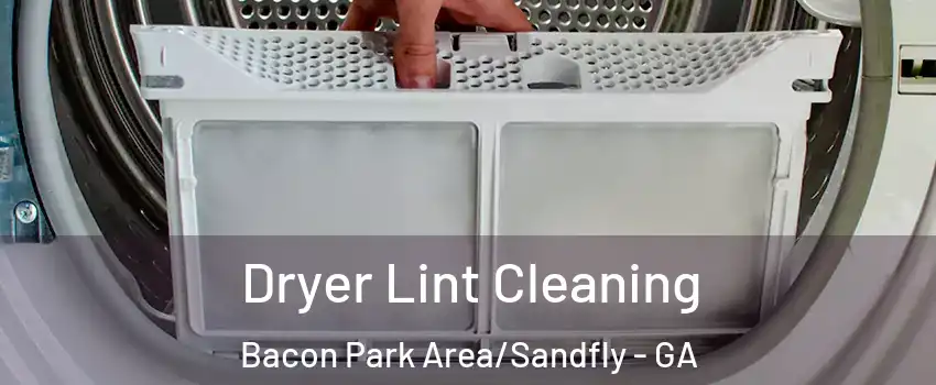 Dryer Lint Cleaning Bacon Park Area/Sandfly - GA