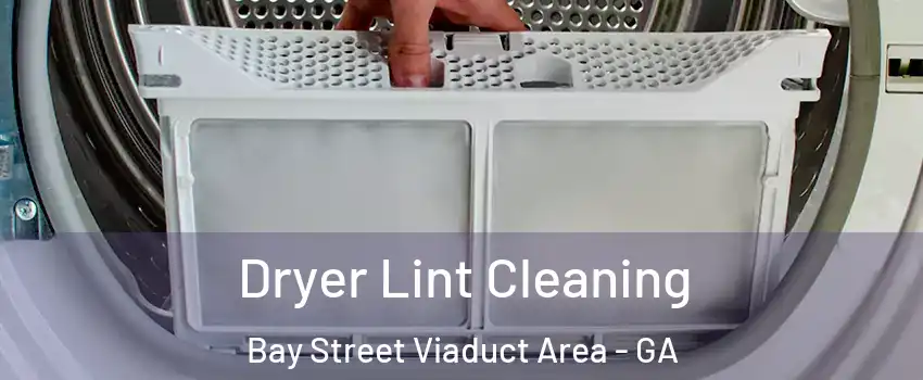 Dryer Lint Cleaning Bay Street Viaduct Area - GA