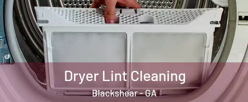 Dryer Lint Cleaning Blackshear - GA