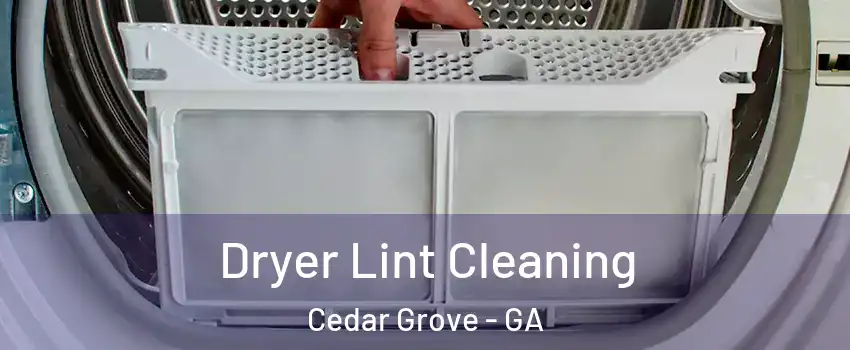 Dryer Lint Cleaning Cedar Grove - GA
