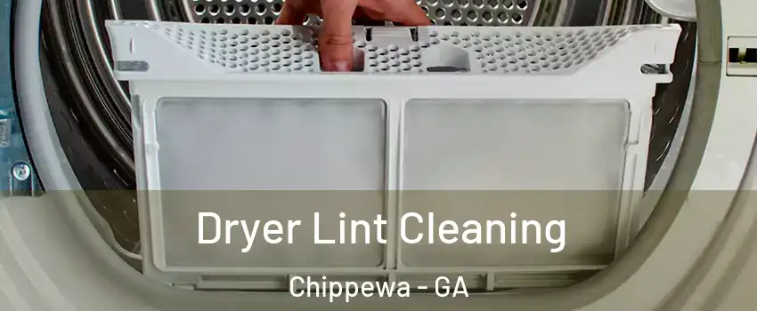 Dryer Lint Cleaning Chippewa - GA
