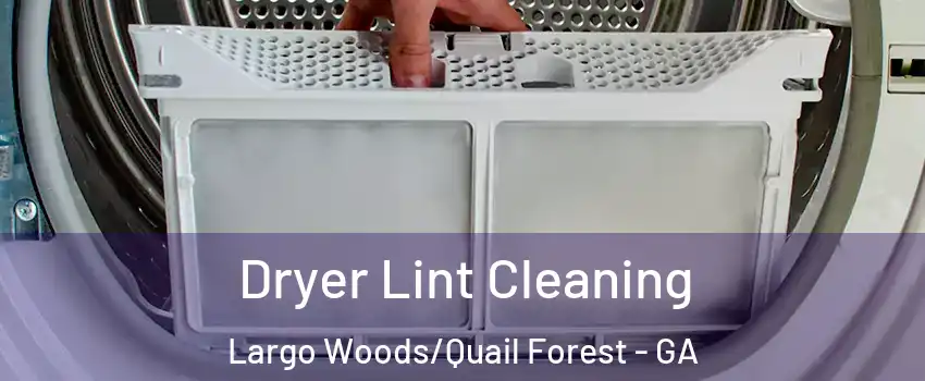 Dryer Lint Cleaning Largo Woods/Quail Forest - GA