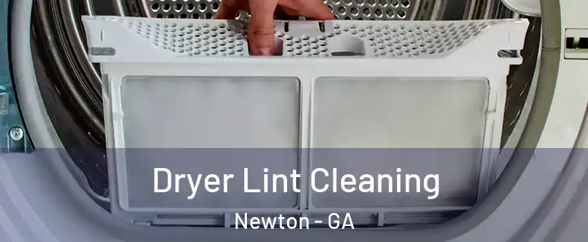 Dryer Lint Cleaning Newton - GA