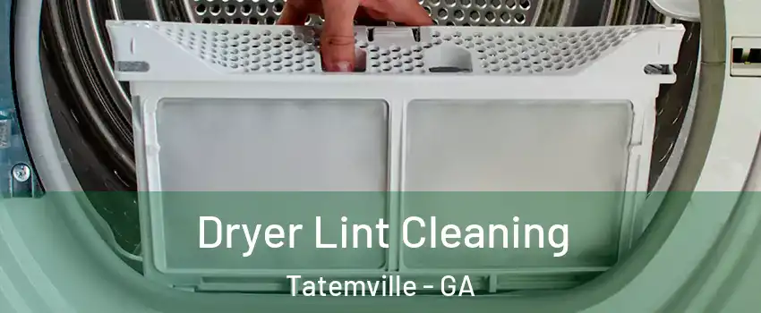 Dryer Lint Cleaning Tatemville - GA