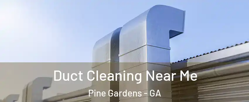 Duct Cleaning Near Me Pine Gardens - GA
