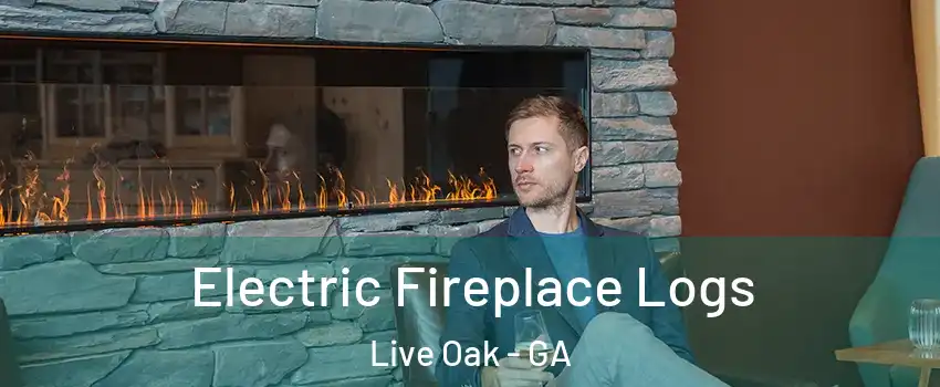 Electric Fireplace Logs Live Oak - GA