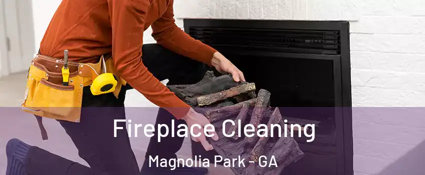 Fireplace Cleaning Magnolia Park - GA