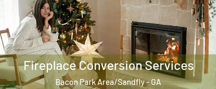 Fireplace Conversion Services Bacon Park Area/Sandfly - GA