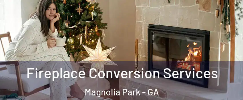 Fireplace Conversion Services Magnolia Park - GA