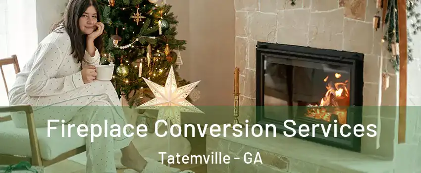 Fireplace Conversion Services Tatemville - GA