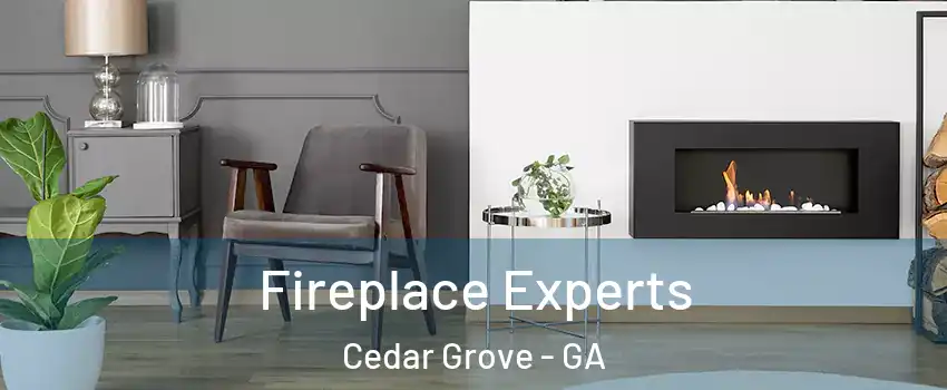 Fireplace Experts Cedar Grove - GA