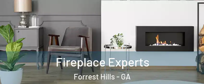 Fireplace Experts Forrest Hills - GA