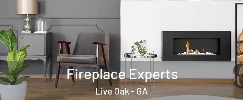 Fireplace Experts Live Oak - GA