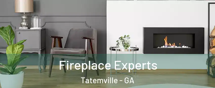 Fireplace Experts Tatemville - GA