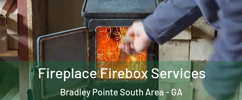 Fireplace Firebox Services Bradley Pointe South Area - GA