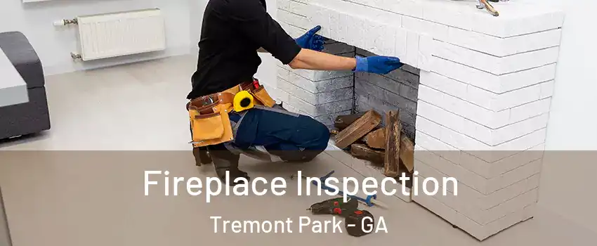Fireplace Inspection Tremont Park - GA