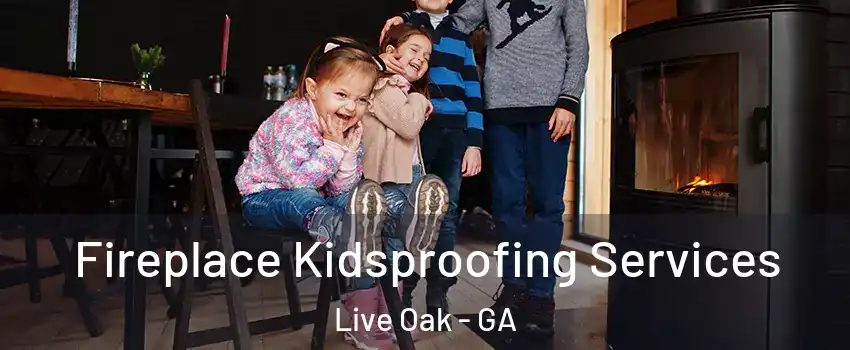 Fireplace Kidsproofing Services Live Oak - GA