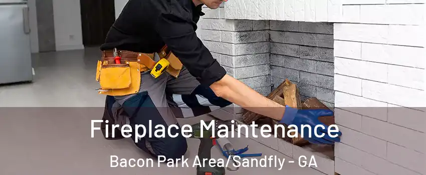 Fireplace Maintenance Bacon Park Area/Sandfly - GA