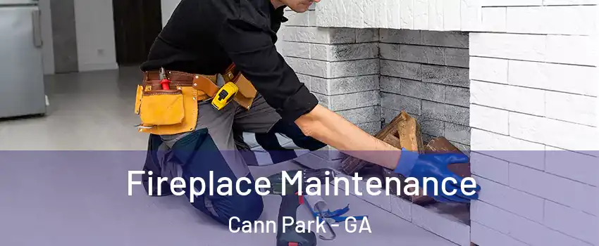 Fireplace Maintenance Cann Park - GA