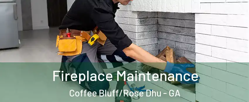 Fireplace Maintenance Coffee Bluff/Rose Dhu - GA