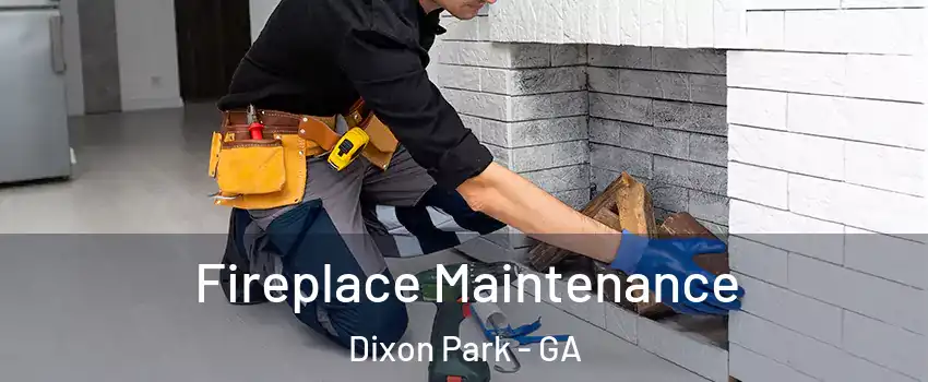 Fireplace Maintenance Dixon Park - GA
