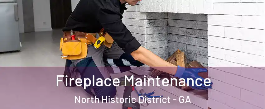 Fireplace Maintenance North Historic District - GA