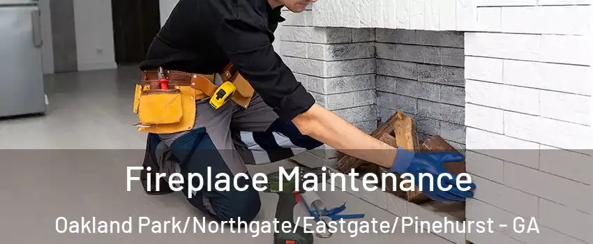 Fireplace Maintenance Oakland Park/Northgate/Eastgate/Pinehurst - GA