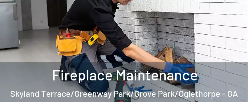 Fireplace Maintenance Skyland Terrace/Greenway Park/Grove Park/Oglethorpe - GA
