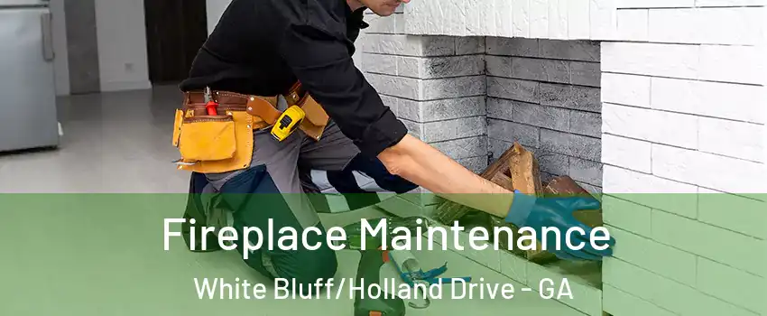 Fireplace Maintenance White Bluff/Holland Drive - GA