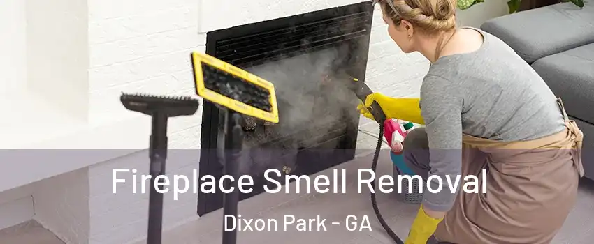 Fireplace Smell Removal Dixon Park - GA