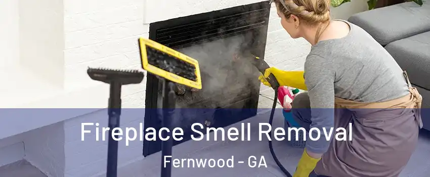 Fireplace Smell Removal Fernwood - GA