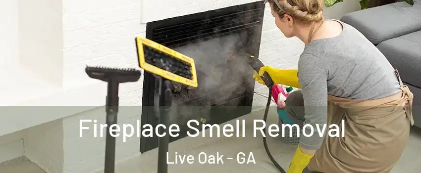 Fireplace Smell Removal Live Oak - GA