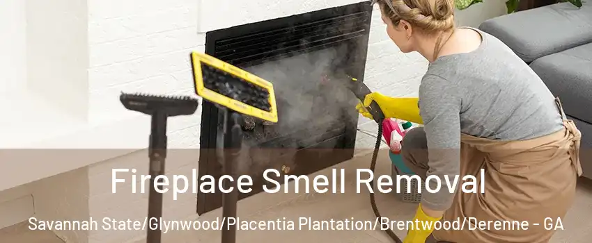 Fireplace Smell Removal Savannah State/Glynwood/Placentia Plantation/Brentwood/Derenne - GA