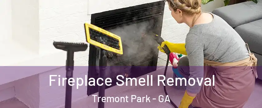 Fireplace Smell Removal Tremont Park - GA