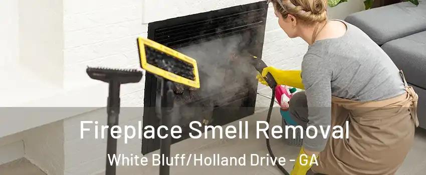 Fireplace Smell Removal White Bluff/Holland Drive - GA