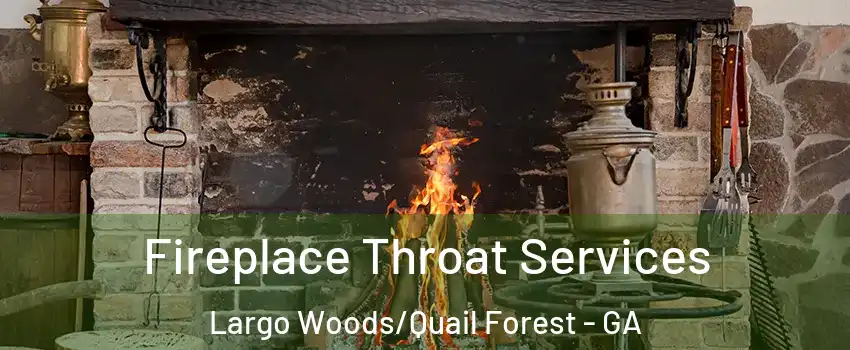 Fireplace Throat Services Largo Woods/Quail Forest - GA