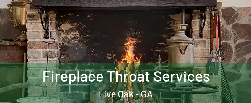 Fireplace Throat Services Live Oak - GA