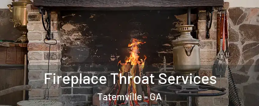 Fireplace Throat Services Tatemville - GA