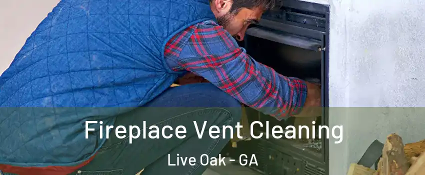 Fireplace Vent Cleaning Live Oak - GA