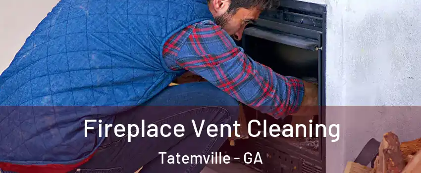 Fireplace Vent Cleaning Tatemville - GA