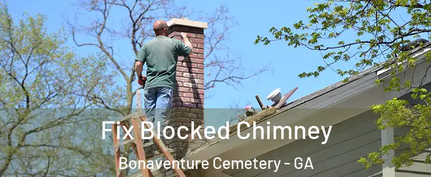 Fix Blocked Chimney Bonaventure Cemetery - GA