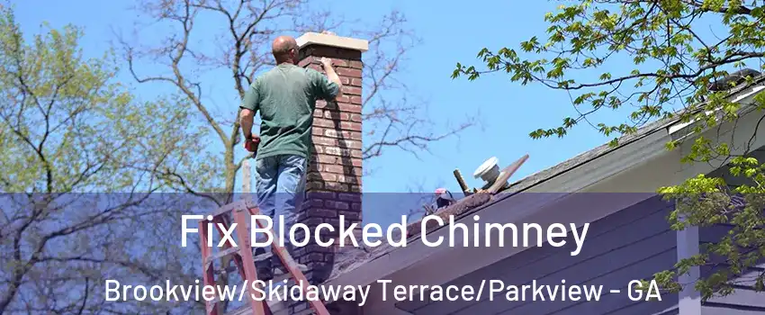 Fix Blocked Chimney Brookview/Skidaway Terrace/Parkview - GA