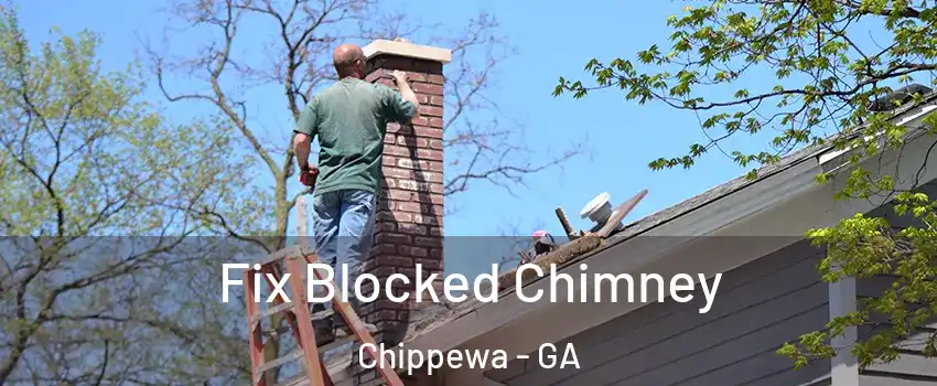 Fix Blocked Chimney Chippewa - GA