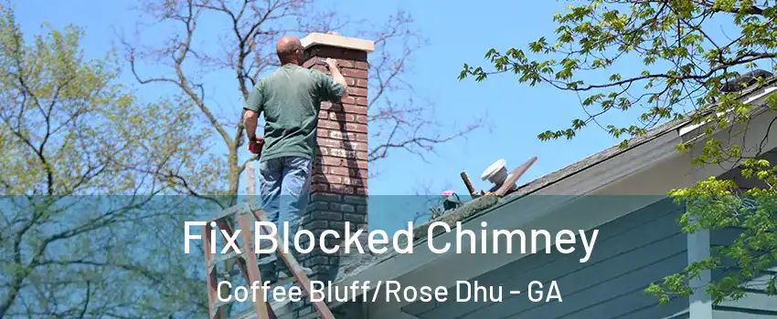 Fix Blocked Chimney Coffee Bluff/Rose Dhu - GA