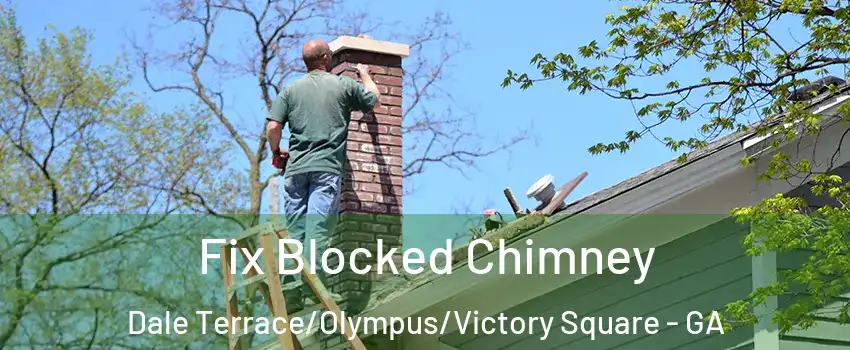 Fix Blocked Chimney Dale Terrace/Olympus/Victory Square - GA